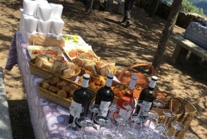 Privat omvisning i 4x4 fra Porto til Douro-dalen som en innfødt