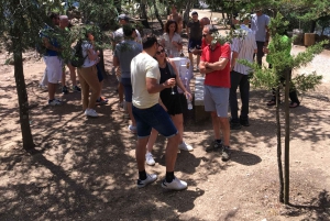 Privat omvisning i 4x4 fra Porto til Douro-dalen som en innfødt