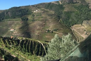Privat omvisning i 4x4 fra Porto til Douro-dalen som en innfødt