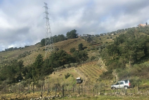 Privat omvisning i 4x4 fra Porto til Douro-dalen som en innfødt
