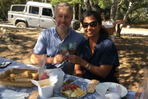 Privat omvisning i 4x4 fra Porto til Douro-dalen som en innfødt