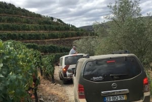 Porto to Douro Valley Private tour in a 4x4 like a native