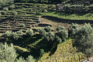 Porto to Douro Valley Private tour in a 4x4 like a native