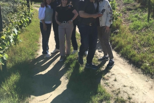 Porto to Douro Valley Private tour in a 4x4 like a native