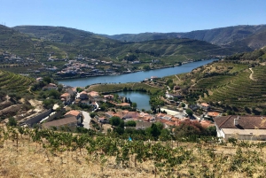 Porto to Douro Valley Private tour in a 4x4 like a native