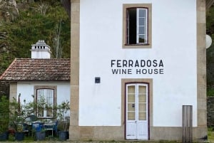 Porto to Douro Valley Private tour in a 4x4 like a native