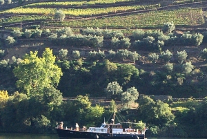Porto to Douro Valley Private tour in a 4x4 like a native