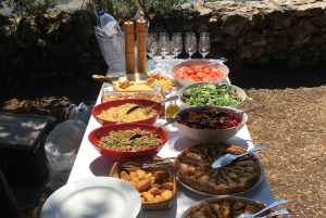 Porto to Douro Valley Private tour in a 4x4 like a native