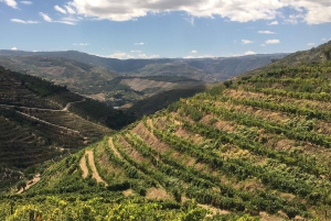 Porto to Douro Valley Private tour in a 4x4 like a native