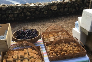 Porto to Douro Valley Private tour in a 4x4 like a native