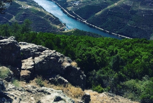 Porto to Douro Valley Private tour in a 4x4 like a native