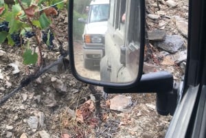 Porto to Douro Valley Private tour in a 4x4 like a native