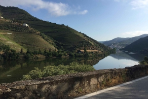 Porto to Douro Valley Private tour in a 4x4 like a native