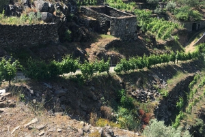 Porto to Douro Valley Private tour in a 4x4 like a native