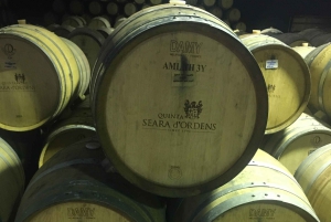 Porto to Douro Valley Private tour in a 4x4 like a native