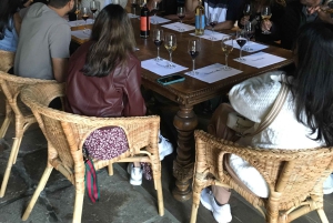 Porto to Douro Valley Private tour in a 4x4 like a native