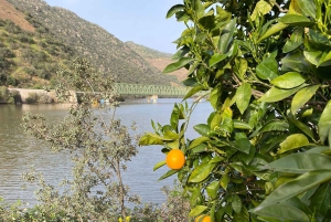 Porto to Douro Valley Private tour in a 4x4 like a native