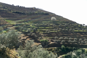 Porto to Douro Valley Private tour in a 4x4 like a native
