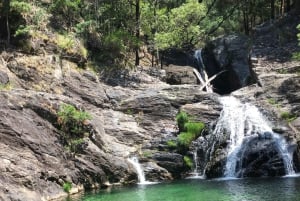 Porto to Douro Valley Private tour in a 4x4 like a native