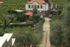 Porto to Douro Valley Private tour in a 4x4 like a native