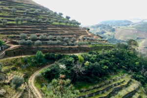 Porto to Douro Valley Private tour in a 4x4 like a native