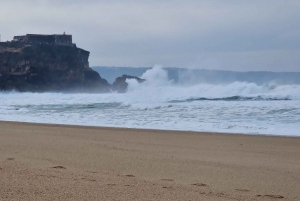 Porto naar Lissabon met Aveiro-Coimbra-Fátima-Nazaré-Óbidos