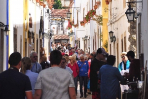 Porto naar Lissabon met Aveiro-Coimbra-Fátima-Nazaré-Óbidos