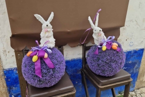 Porto naar Lissabon met Aveiro-Coimbra-Fátima-Nazaré-Óbidos