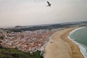Porto naar Lissabon met Aveiro-Coimbra-Fátima-Nazaré-Óbidos