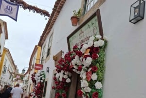 Porto naar Lissabon met Aveiro-Coimbra-Fátima-Nazaré-Óbidos