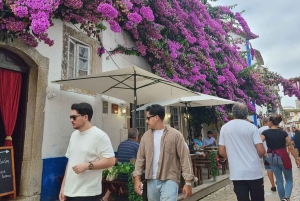 Porto naar Lissabon met Aveiro-Coimbra-Fátima-Nazaré-Óbidos