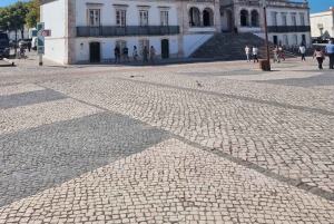 Porto naar Lissabon met Aveiro-Coimbra-Fátima-Nazaré-Óbidos