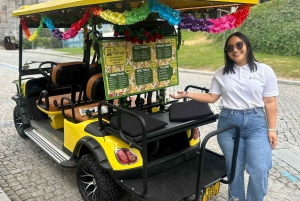 Porton kiertoajelu: Tutustu kaupungin viehätykseen 1–6 tunnissa