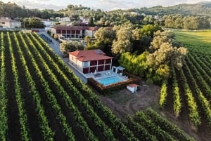 Tour di Porto: Braga e Guimarães - mezza giornata dove è nato il Portogallo!