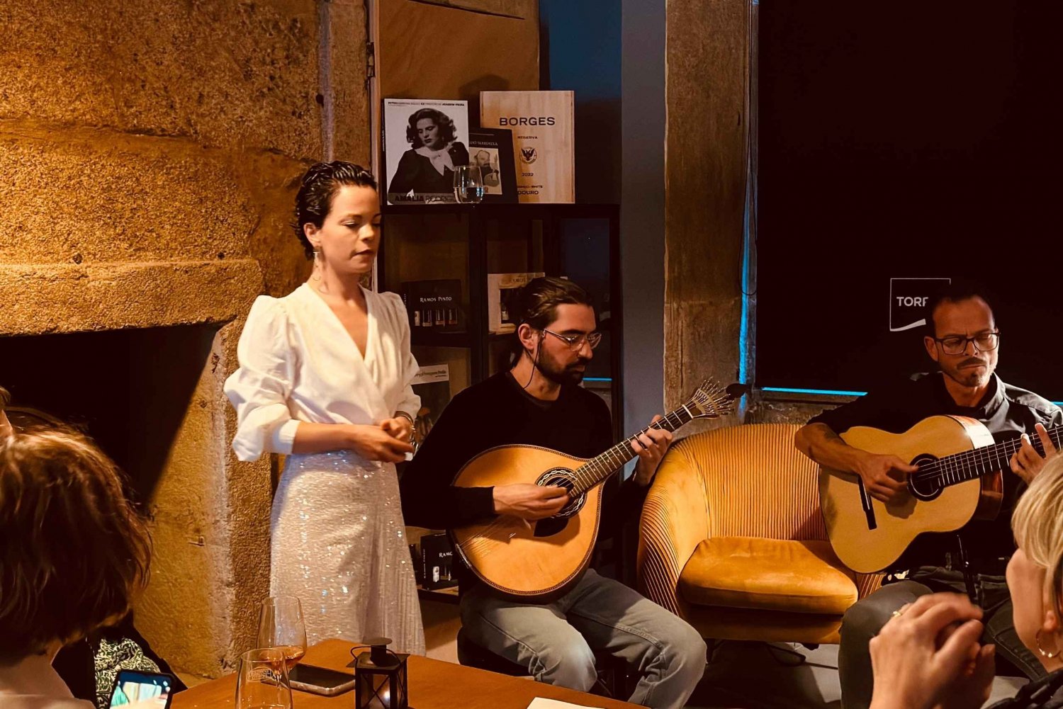 Porto: Fado-livemusik, vin og kulturel introduktion