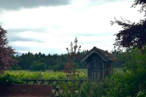 Porto: Vinho Verde Region Tour with 2 Wineries & Lunch