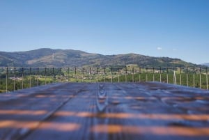 Porto: Vinho Verde Region Tour with 2 Wineries & Lunch