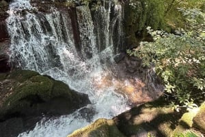 Porto: Vinho Verde Region Tour with 2 Wineries & Lunch