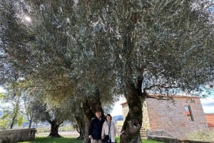Porto: Vinho Verde Region Tour with 2 Wineries & Lunch