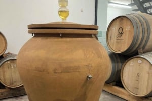 Porto: Vinho Verde Region Tour with 2 Wineries & Lunch