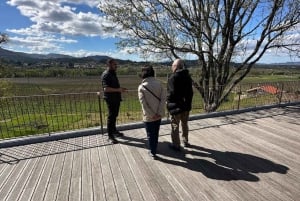 Porto: Vinho Verde Region Tour with 2 Wineries & Lunch