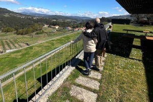 Porto: Vinho Verde Region Tour with 2 Wineries & Lunch