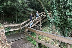 Porto: Vinho Verde Region Tour with 2 Wineries & Lunch