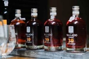 Oporto: experiencia de RV y cata de oporto añejo - Poente by Vallado