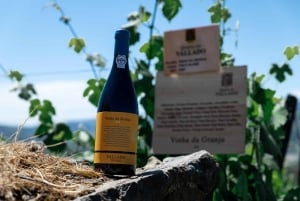 Porto: tour in realtà virtuale con 4 vini iconici - Poente by Vallado