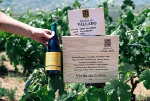 Porto: tour in realtà virtuale con 4 vini iconici - Poente by Vallado