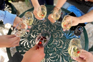 Porto: Tour a piedi con degustazione di vini e tapas