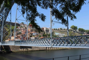 Porto: Tour a piedi con degustazione di vini e tapas