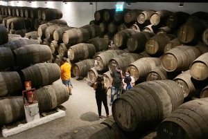 Porto: Tour a piedi con degustazione di vini e tapas