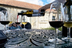 Porto: Tour a piedi con degustazione di vini e tapas